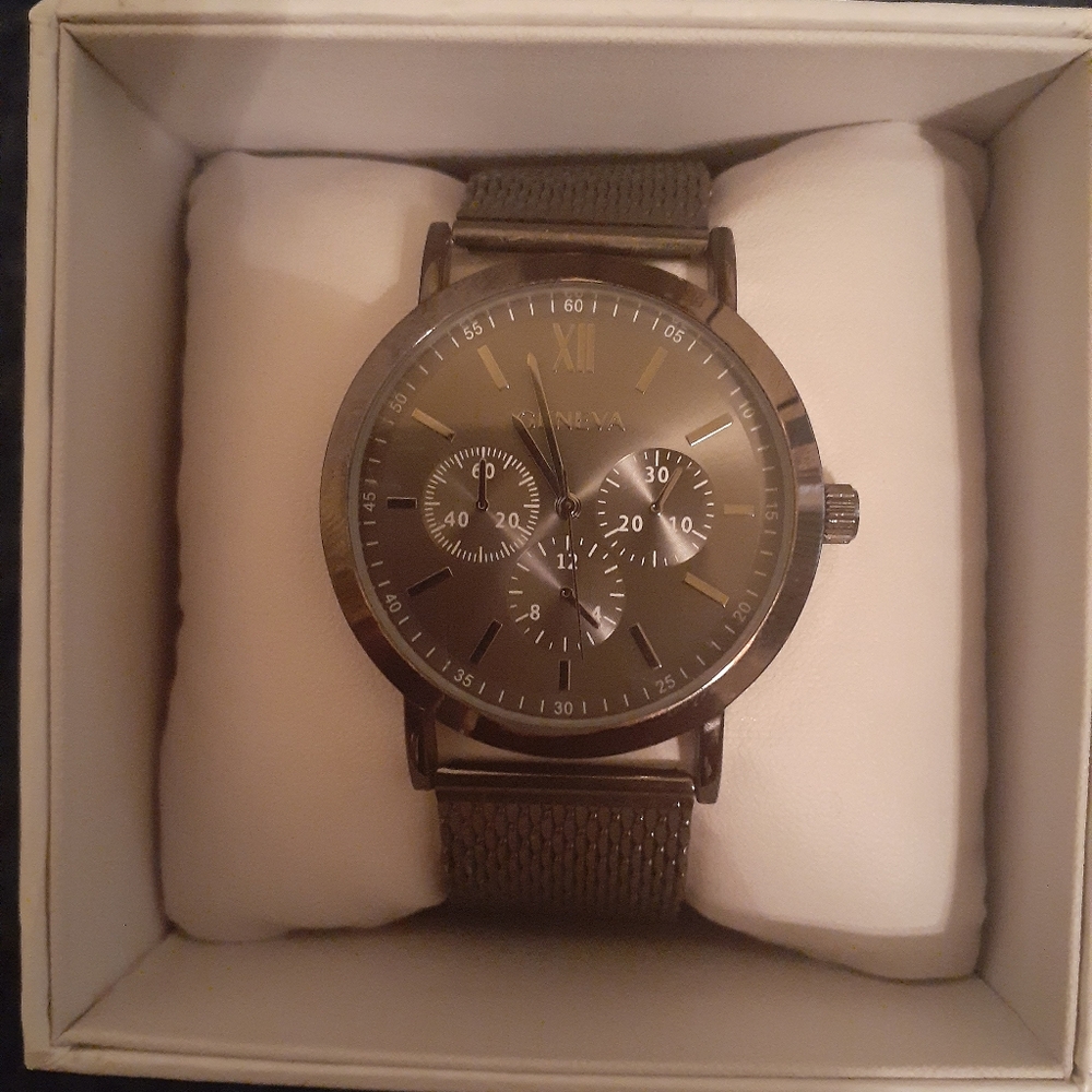 Geneva Stainless Steel Watch